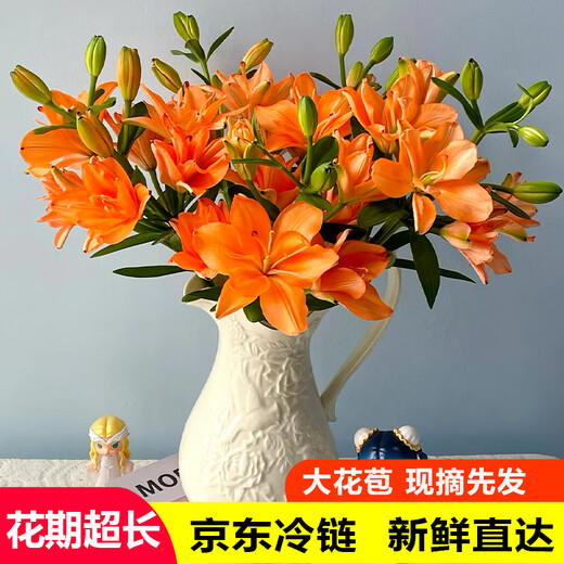 Jimmy Deer rare orange lily flowers, 10 orange lilies + get 2 free, fresh cut bouquets from Yunnan base sent directly from the source