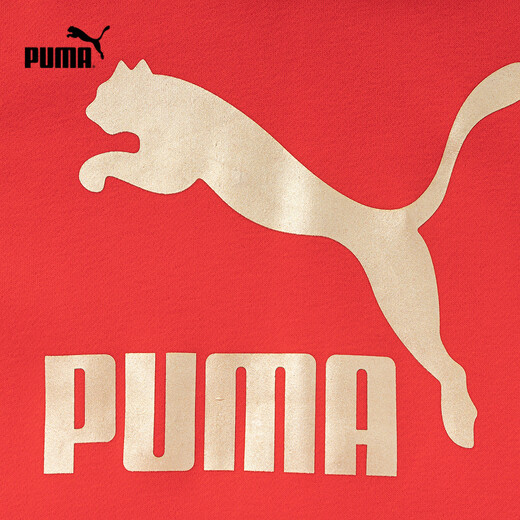 Puma's new children's winter long-sleeved sweatshirt with hood, warm and fashionable, Chinese red 60601 170