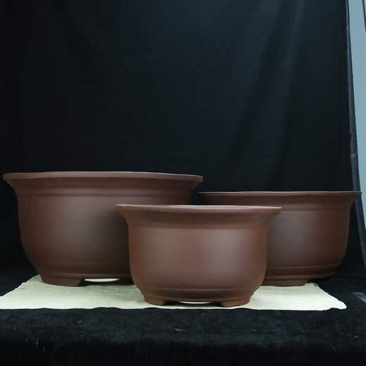 特大号紫砂花盆种树老桩60cm以上超大种发财树铁树陶瓷盆 紫砂 x 854中号两个