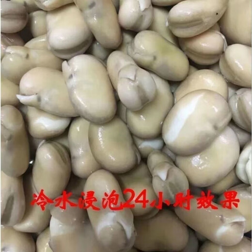 New Yunnan dry broad bean seeds, raw dry goods, peas, monkshood beans, fresh orchid beans, good goods, insect-free wholesale, Japanese large white broad beans, original 20 Jin Jin equal to 0.5 kg