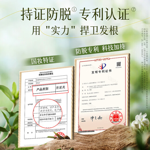 ZOOLY Ginger Shampoo 800ml*2 Anti-dandruff and Oil Control Shampoo Nourishing Conditioner Wash and Care Set The hottest product in the store Ginger Anti-dandruff and Oil Control Shampoo 800ml*2