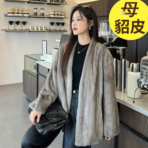 Muqiantang Mink Coat for Women V-neck Mink Fur Velvet Young Short Whole Mink Coat Mink Coat for Women Silver Blue Silver Blue One Size Recommended Weight (80-135)