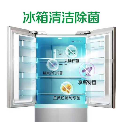 Dettol Natural Plant Ingredients Refrigerator Sterilizing Spray Disinfectant Clothing Sterilizing Deodorizing Spray Pure Green Apple 500ml 1 Bottle