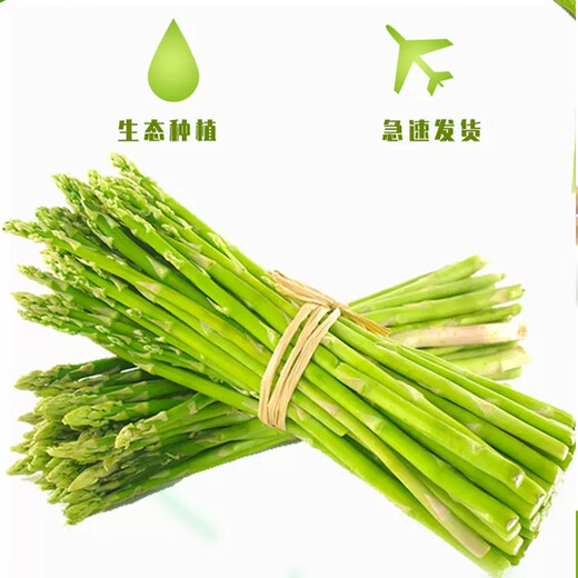 Home of Asparagus First Green Asparagus, Tender Asparagus, Fruit Asparagus, Supermarket Quality Mid-Autumn Festival Steak, Western Food Partner, Intermediate Asparagus, About 0.8 in Diameter, 300g Taste Pack