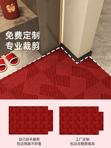 云珀入门地毯高级感2025新型高端红色门垫防滑耐污免洗门地毯 莱克塞-15865 60x90cm