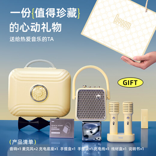 Divoom click sound conspicuous package karaoke speaker with dual microphone sound card all-in-one speaker microphone bluetooth audio home karaoke singing artifact home KTV live broadcast Goddess Day set