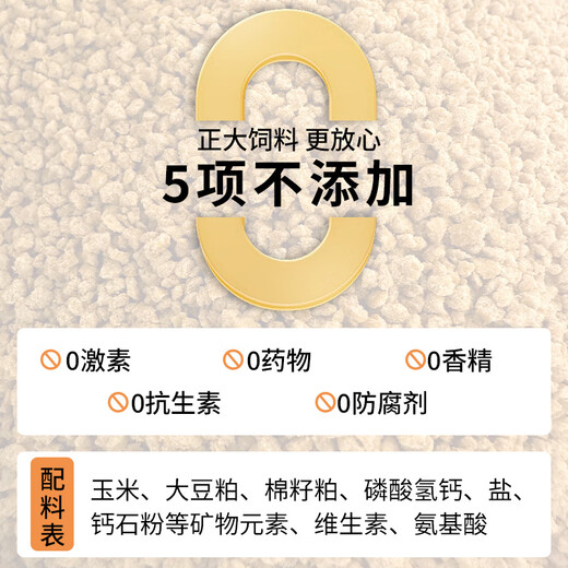 Zhengda Food 900s Rutin Chicken Special Feed for Egg Laying Chicks Brooding Open Young Ludin Chicken Chicks and Quail Egg Laying Food Zhengda 900 Egg Laying Rutin Chicken and Quail Feed 2Jin Jin is equal to 0.5 kg
