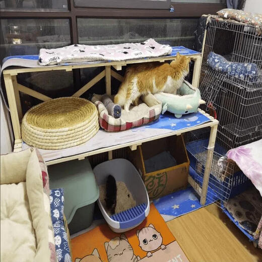 OYKTN实木花架猫砂盆置物架多层猫爬架宠物用品收纳阳台阶梯猫窝架猫咪 长90cm宽50cm高100cm