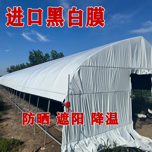 Greenhouse plastic film, non-drip film, agricultural greenhouse film, PO film, vegetable planting, anti-fog, high light transmittance, anti-aging, longevity film, blue film 8S imported longevity film, thickened, 3m wide, how many meters long, take a few pieces, send the whole picture