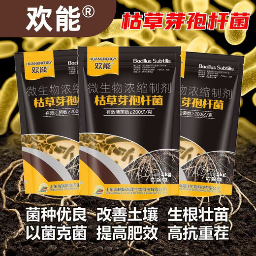 Huaneng Bacillus subtilis agricultural microbial bacterial fertilizer anti-root rot water-soluble fertilizer bacterial fertilizer to improve soil