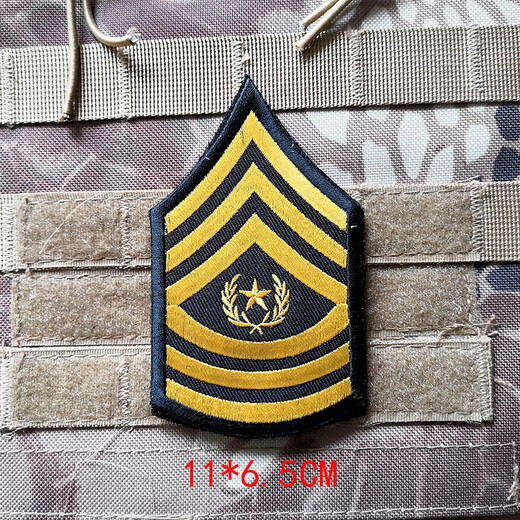 Shifanli American 101 Eagle Head Armband Embroidered Velcro Badge Military Fan Badge Outdoor Backpack Morale Badge DIY Red
