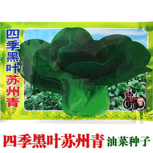 Карлик Сучжоу Цин Шанхай Цинцин стеблевые семена овощей черный лист рапса балкон семена овощей в горшках на четыре сезона четыре сезона черный лист Сучжоу зеленый 10 г 1 пакетик