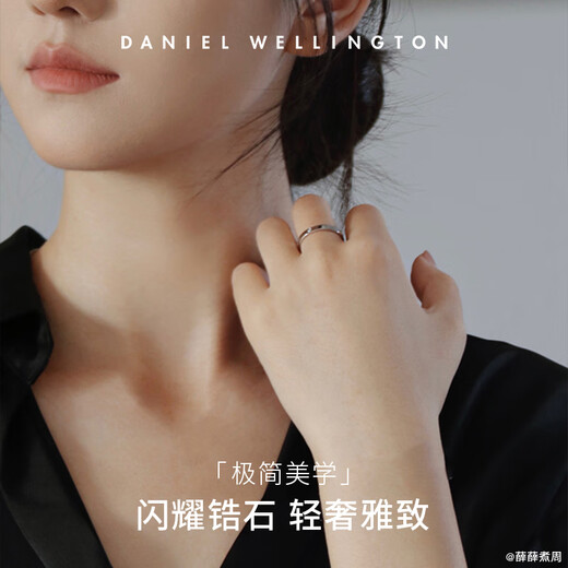 Daniel Wellington dw ring for women Star series couple ring elegant silver No. 56 birthday gift for girlfriend DW236