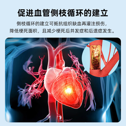 Nanfu Medical Equipment Medical Remote Ischemic Preconditioning Training Instrument Two-arm Non-Ancono Shield Physiotherapy Instrument for Elders Class II Medical Model Two-Arm Model SF Express