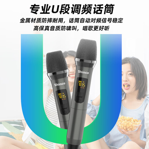 Xinke H15 dual 15-inch square dance outdoor Bluetooth speaker lever outdoor ktv bass player performance professional electric acoustic guitar bass folk singing instrument speaker dual microphone