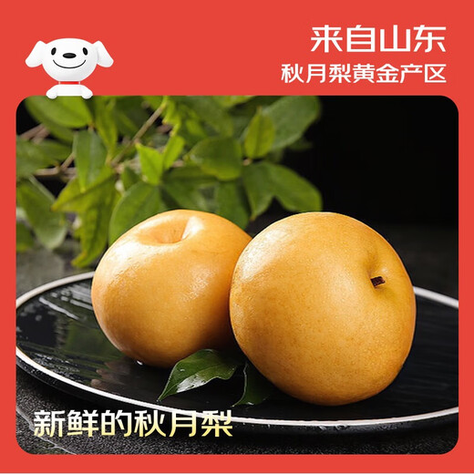 Jingxiansheng Shandong Yantai Laiyang Qiuyue Pear Net weight 4Jin Jin is equal to 0.5kg Single fruit 200g+ Fresh fruit Straight from the source