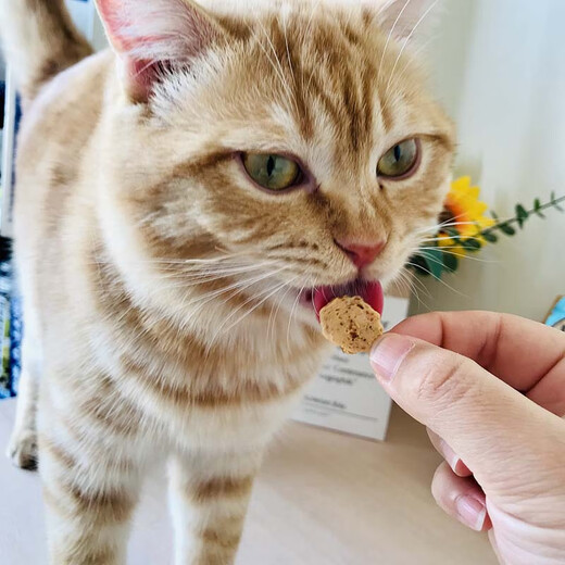 Inaba Cat Snacks Miaohao Grilled Fish Duoduo Pet Snacks Cat Biscuits with Chicken Breast Grilled Seafood Sandwich Dried Fish 12 Packs Flavor Mix