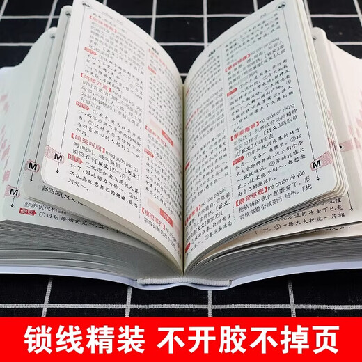【认准官方正版】成语词典最新版2025人教版小学生专用双色本新华词典正版初高中生工具书 [2本]成语词典+新编字典