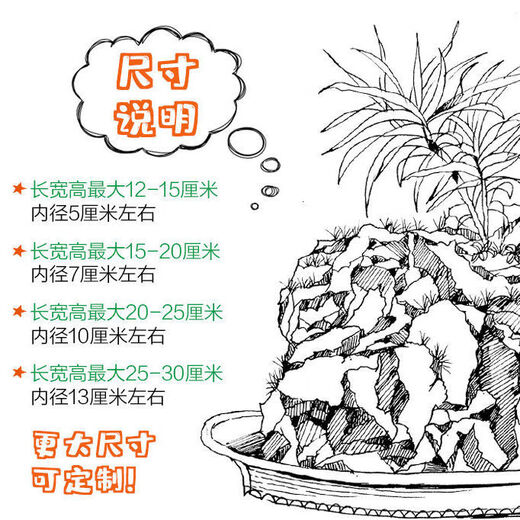 Absorbent stone flower pot, natural strange stone, absorbent stone, upper water stone, original stone, stone pot, calamus, succulent potted plant, bonsai micro landscape, absorbent stone, flower pot 10-12cm (no gifts)