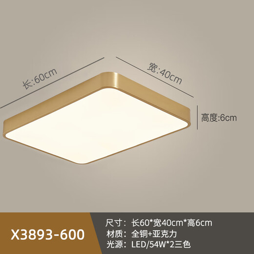 心镜全铜户外吸顶灯别墅大门口超薄门前灯室外过道阳台灯防蚊虫庭院灯 X3893-600/长方形
