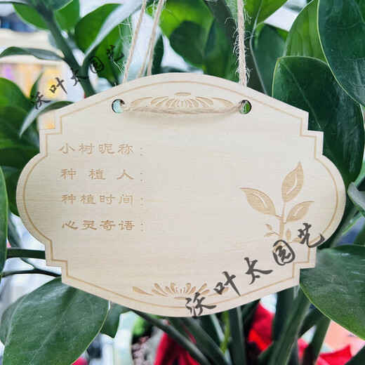 Yong Huan 10 pieces of custom-made wooden hanging tags for school Arbor Day tags tree adoption tags plant tags name cards grow with the trees 10 pieces