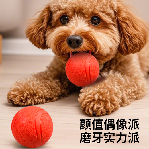Zanpet dog toy ball, bite-resistant and molar-resistant elastic ball, Teddy self-pleasure and boredom relief, solid rubber ball for pet training