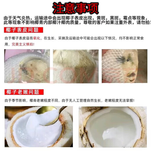 Fruit Pier Thailand imported perfumed milk coconut natural coconut coconut green single fruit 900g Fruit Pier Perfume Coconut 9 pieces packed with coconut opener and straw