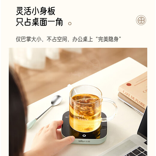 Bear Heating Coaster Ceramic Cup Set Constant Temperature Electric Heating Coaster Office Household Hot Milk Artifact 55 Degree Health Insulation Cup Warm Milk Milk Warmer Warm Cup Mid-Autumn Festival Gift Heavy New Product DRBD-C40J6 Light Green 0.3L