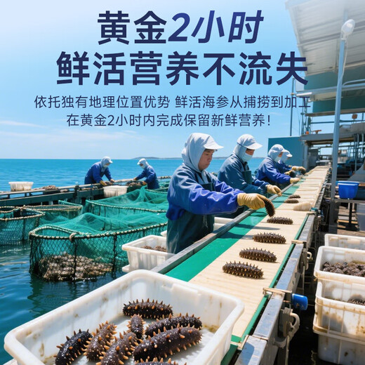 Daxiantian Dalian organic ready-to-eat sea cucumber 3Jin Jin is equal to 0.5kg / 16-21 solids exceeding 85% Liao sea cucumber nourishing gift box straight from the source