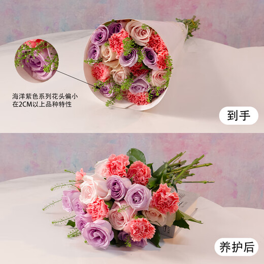 Jingdong Flowers Kunming Base Flower Straight Hair Family Life Flowers Rose Carnation Mix and Match-Fresh as Yi Source Straight Hair