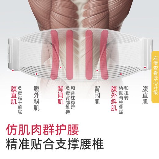 WSPEN German medical belt for lumbar disc herniation, lumbar muscle strain, lumbar prolapse and protrusion, breathable sedentary belt for men and women, L size 2 feet 6, waist circumference 3 feet 3
