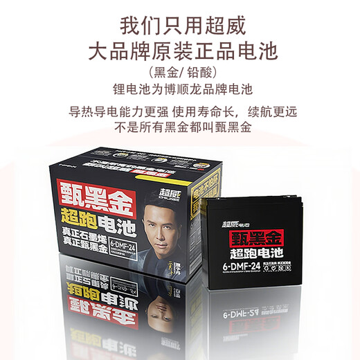 Phoenix Cool Electric Tricycle Home Small Elderly Walking Electric Vehicle Tricycle Elderly Leisure Battery Vehicle 600W丨48V24A Black Gold + Battery Life About 45 Kilometers