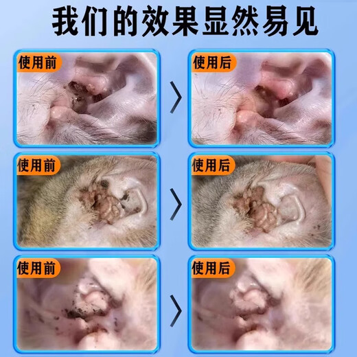 Malassezia ear medicine, pet ear cleaning, removal of mites, otitis media, earwax, itching, antibacterial cleaning, special ear drops 5 bottles, 3 get 2 free, prevention + cleaning, sterilization