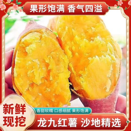 Freshly dug sandy sweet potato air fryer sweet potato sandy floor chestnut potato fresh self-grown Longjiu authentic yellow heart sweet sweet sandy sweet potato 1Jin Jin equals 0.5kg with box medium large fruit