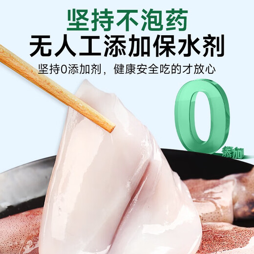 Fishing Travel Notes Whole Seed Pen Tube Fish Net Weight 1000g Contains Ice 0.1kg Squid Sea Rabbit Seed Uman Seeds Soft Pedals with Seeds