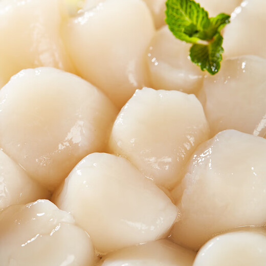 One s Member Seafood Ingredients Healthy Light Frozen Scallops 600g