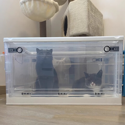 Jingdong Express Cat Atomizer Box Dog Oxygen Inhalation Box Cat Nasal Branch Atomizer Dog Cough Atomization Warehouse Cat Oxygen Inhalation Box Large Size Approximately 18 Jin Jin equals 0.5 kg Pets included (excluding atomizer)