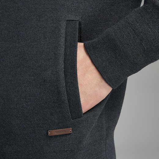 Youngor Machine Washable Wool Autumn and Winter Men's New Stand Collar Business Casual Warm Sweater Jacket 619962C