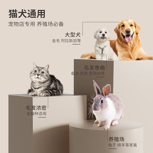 Corgi trimming artifact, pet shop special electric clipper, dog shaver, pet electric clipper, white set + pedicure head