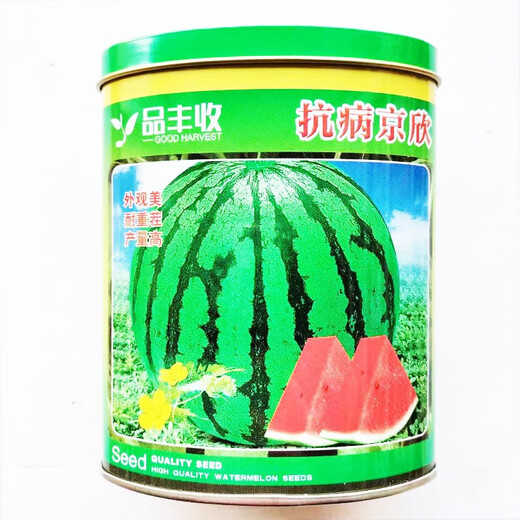 Product Harvest Kirin Watermelon Seeds Medium Late Mature Large Oval Melon Seeds Round Seeds Disease Resistant Drought Tolerant Repeated Cropping High Yield Xinong No. 8 80g