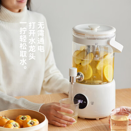 Olayks instant pure titanium health pot health barrel flower teapot household fully automatic faucet tea boiler stew all-in-one teapot kettle electric kettle large capacity 2.8L