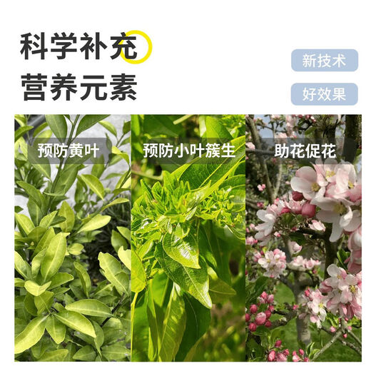 Junyan granular boron wheat fruit tree flower base fertilizer base fertilizer protects flowers and fruits to increase fruit setting rate crops trace element boron fertilizer granular boron 500g * 2 bags two acres of land