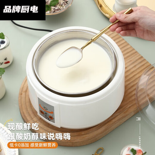 九阳佳人酸奶机家用全自动1.5L迷你多功能大容量自制米酒机小型发酵机分杯 1.5升不锈钢内胆+10小包菌粉