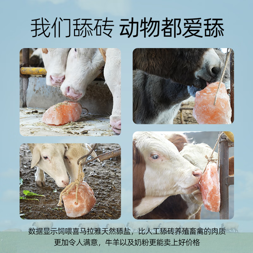 Special salt bricks for cattle and sheep licking bricks, nutrition, trace elements, reinforced mineral feed additives, pica and stomach strengthening, natural type 10-12Jin Jin equal to 0.5kg, holed with rope