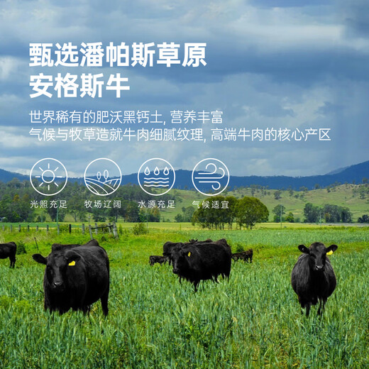 肉可可 阿根廷原切带骨牛腱子 净重4斤 切片 煲汤炖卤酱牛肉 进口生鲜