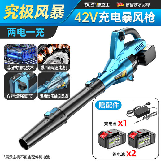 Delish electric soot blower hair dryer high-power industrial lithium battery rechargeable storm gun snow blower to blow fallen leaves