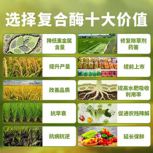 Zhongke Zhinong Zhongke Composite Enzyme No. 2 Vegetable Greens 25g125g Biological Enzyme Composite Enzyme Increases Yield and Improves Quality 25g