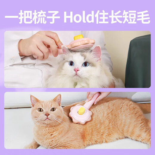 Qiaran Japanese cat comb, combing brush, special comb for cats, Bichon Frize dog comb, needle comb to remove floating hair for pets, upgraded rouge powder-lion comb (knot hair removal massage, three effects in one)