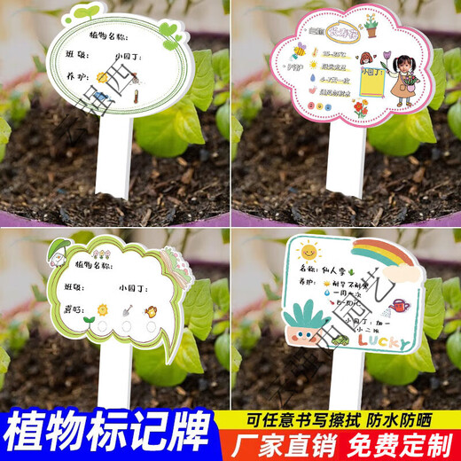 Kindergarten plant label insert card plant care card DIY plant care card card school plant corner logo 05 blank card 9MMPVC covered with crystal film 10x16cm