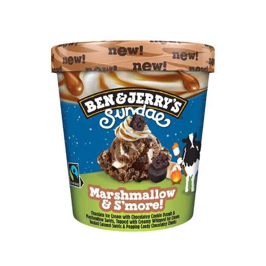BEN & JERRY S USA Ben & Jerry's Ice Cream Marshmallow Sundae Large Bucket Ice Cream 427ml Family Pack Ice Cream